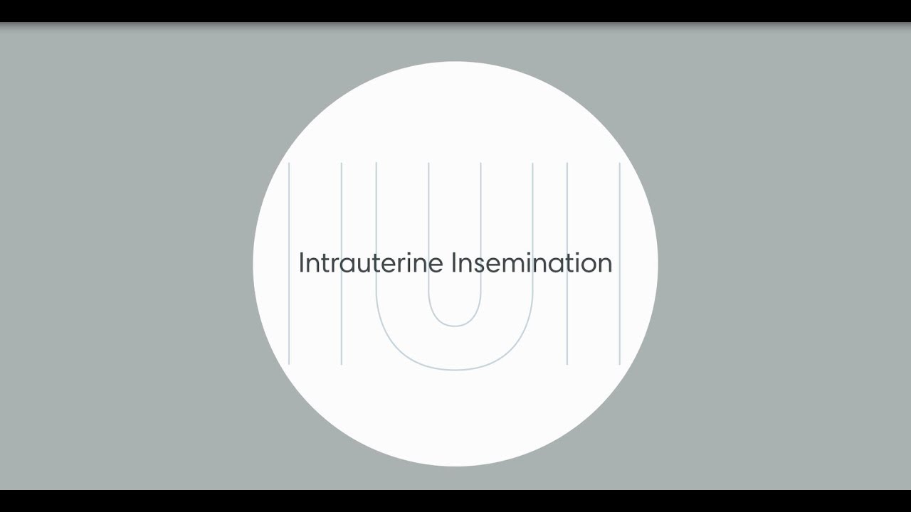 What is a IUI?