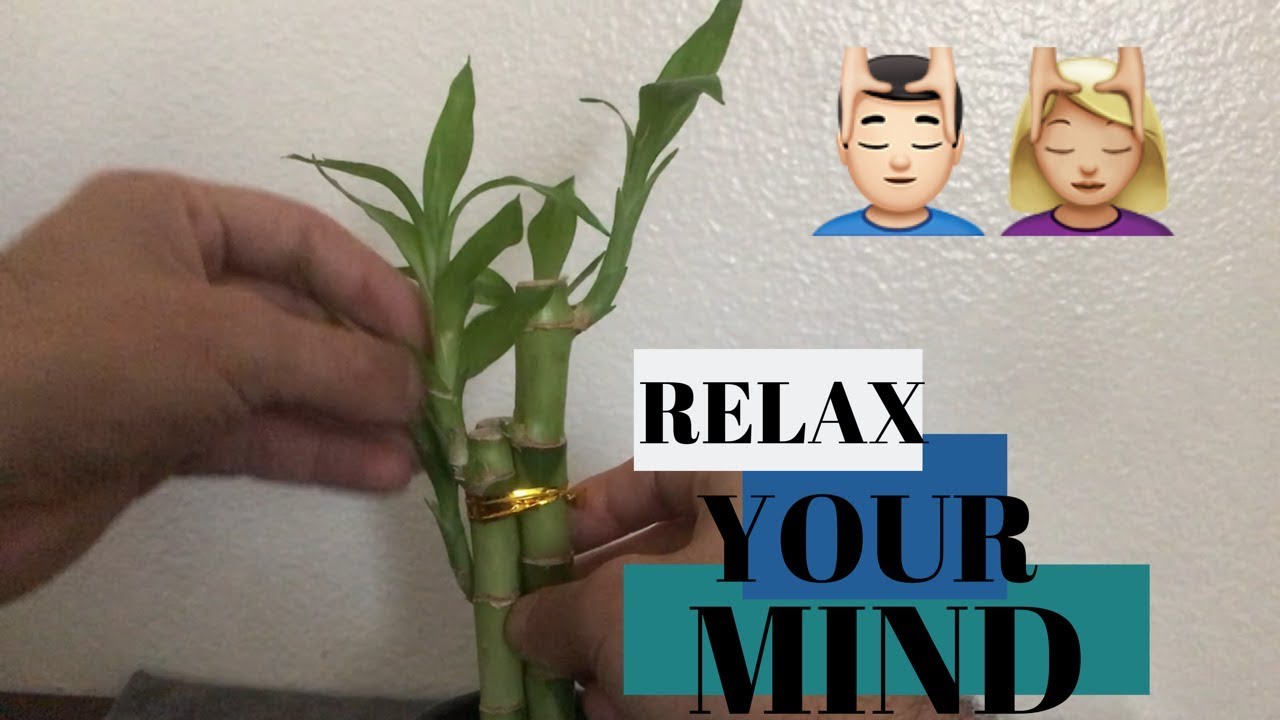 ASMR LEAF TOUCHING SOUNDS 🌱 #asmr #plantasmr