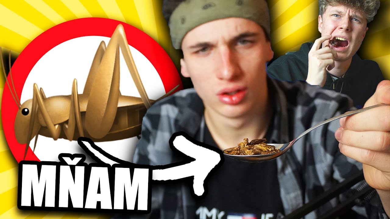 Když PROHRAJU, musím SNÍST BROUKY
