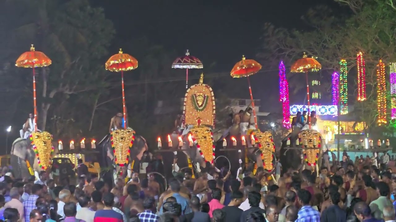 പള്ളത്താംകുളങ്ങര താലപ്പൊലി 2026 | മുണ്ടക്കൽ ശിവനന്ദൻ തെക്കേ ചേരുവാരം
