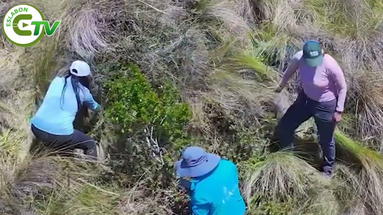 INIAP fortalece la conservación de la agro biodiversidad del Ecuador.