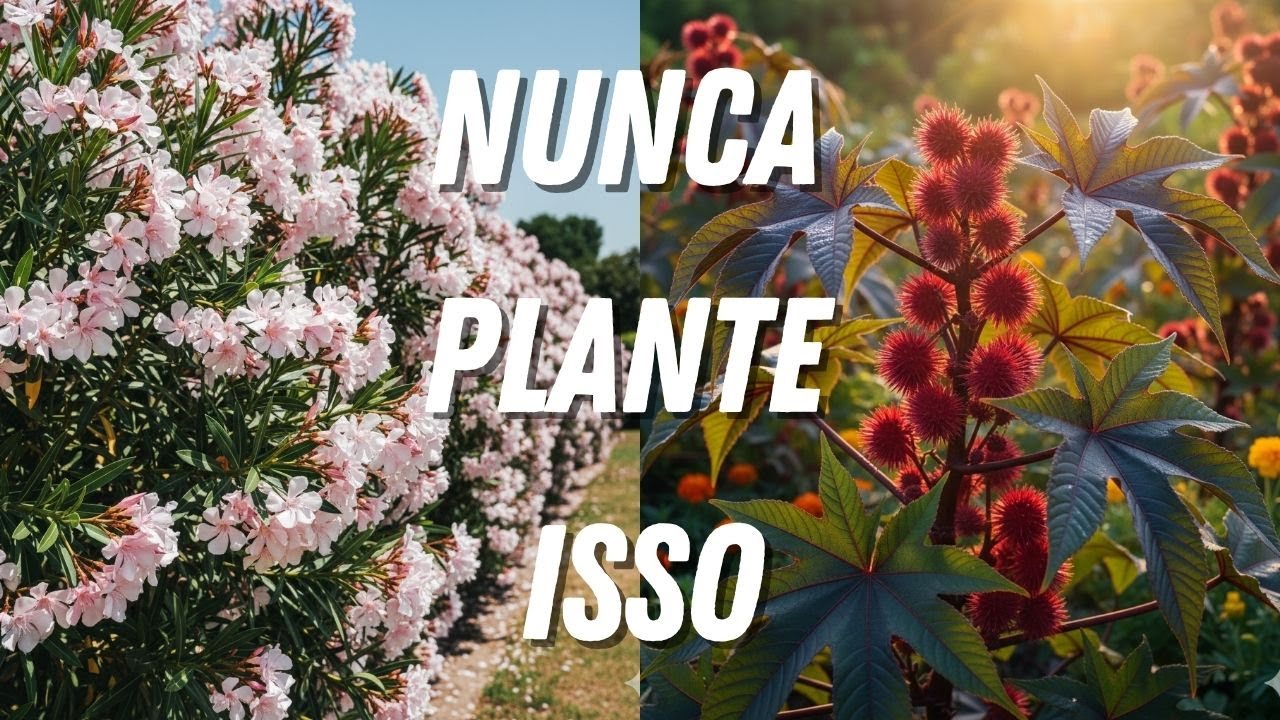 15 plantas que você nunca deve cultivar em seu jardim