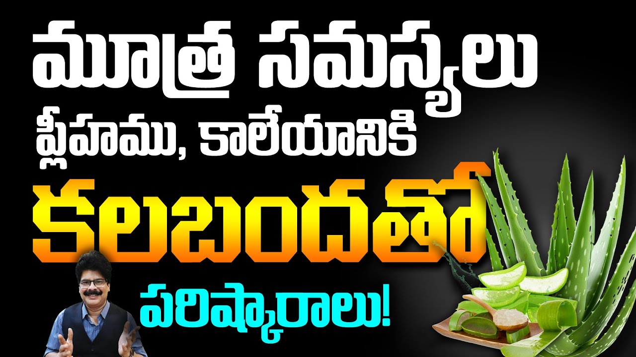 ఒక్క కలబంద… ఎంతో ప్రయోజనం! Aloe Vera’s Power for Internal Wellness! Find Out How! 