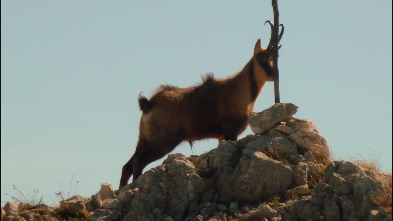 01/11/2024 Monte Sirente - Traversata dallo Chalet a Rovere - Punta Macerola - Sperone dei Tiburtini