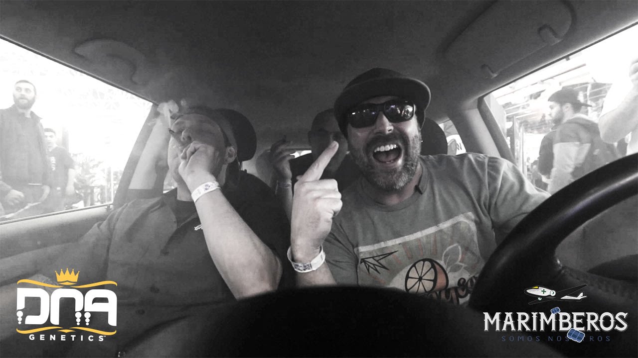 DNA Genetics & Marimberos Hotboxx Greenhouse Seeds Car Live at Spannabis
