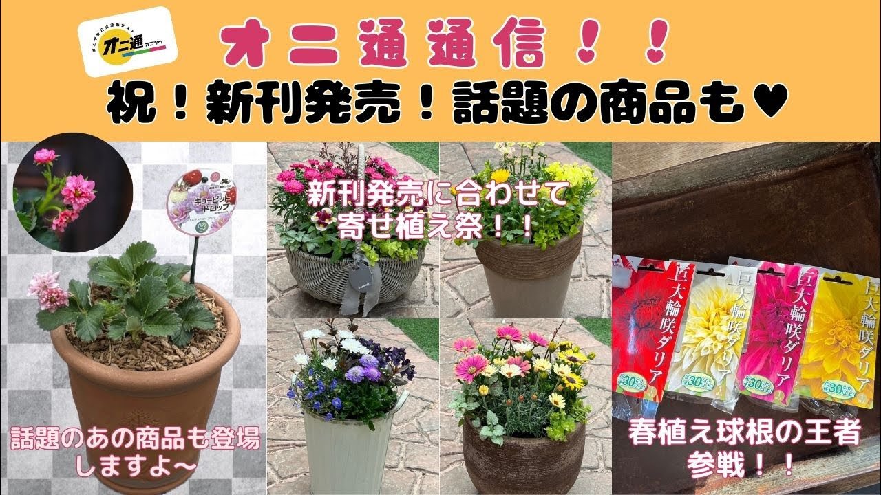 新刊発売！🎉オニ通でもお祝いします🌟
