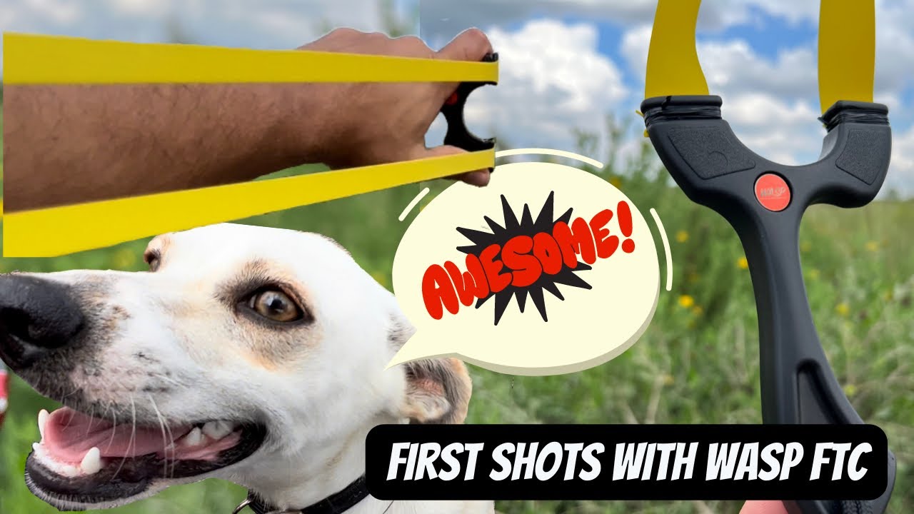 My First Shots with the Wasp FTC/ Meet Wally, stray dog who was welcomed to our Ranch.
