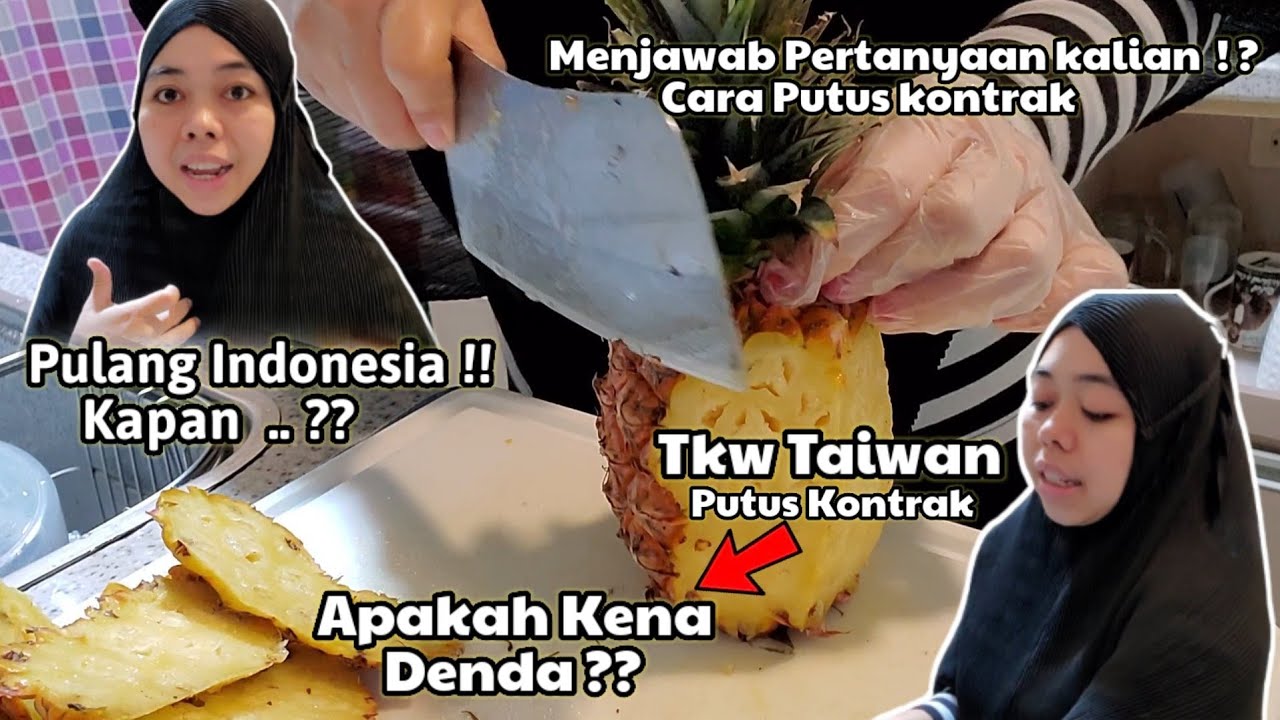 Kapan #TinaXL PuLang ⁉️ Putus Kontrak Kerja Kena Denda!??