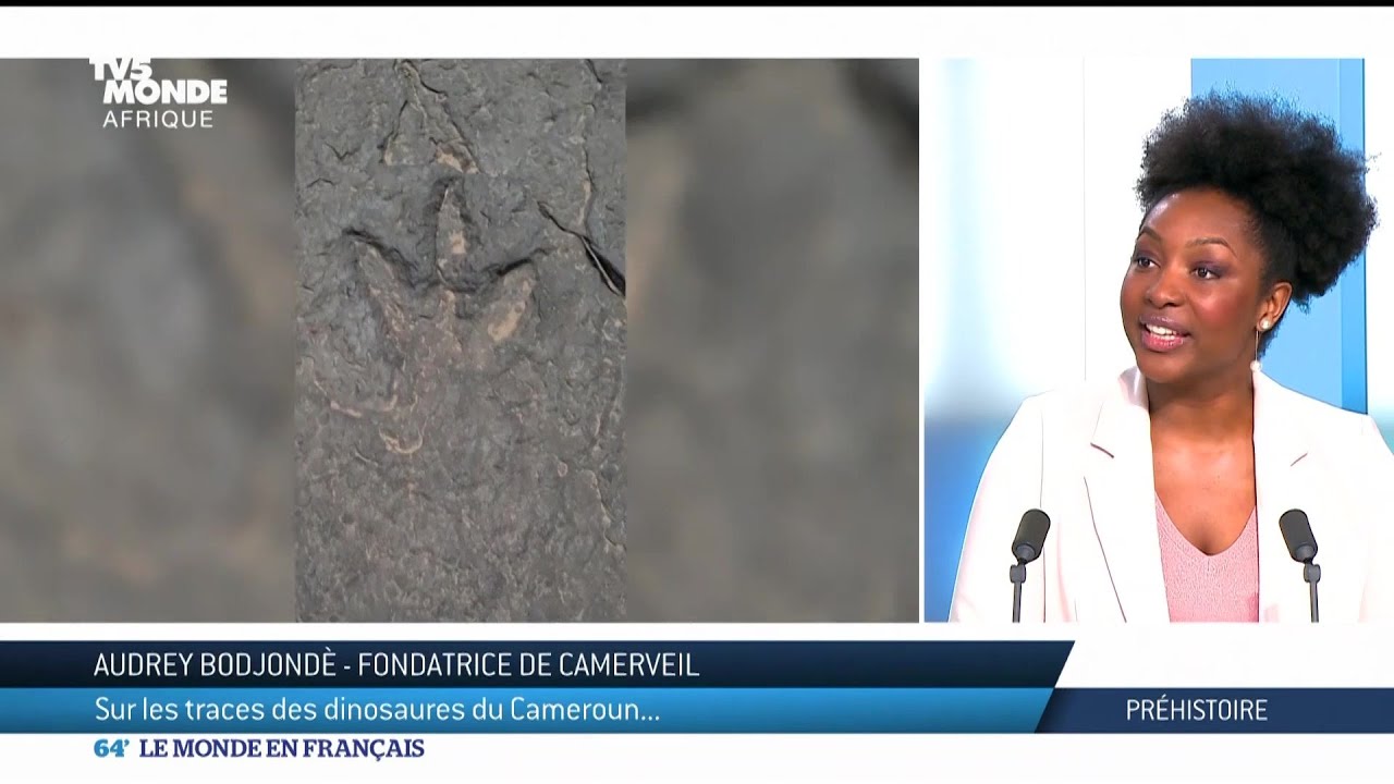 Sur la trace des dinosaures au Cameroun !