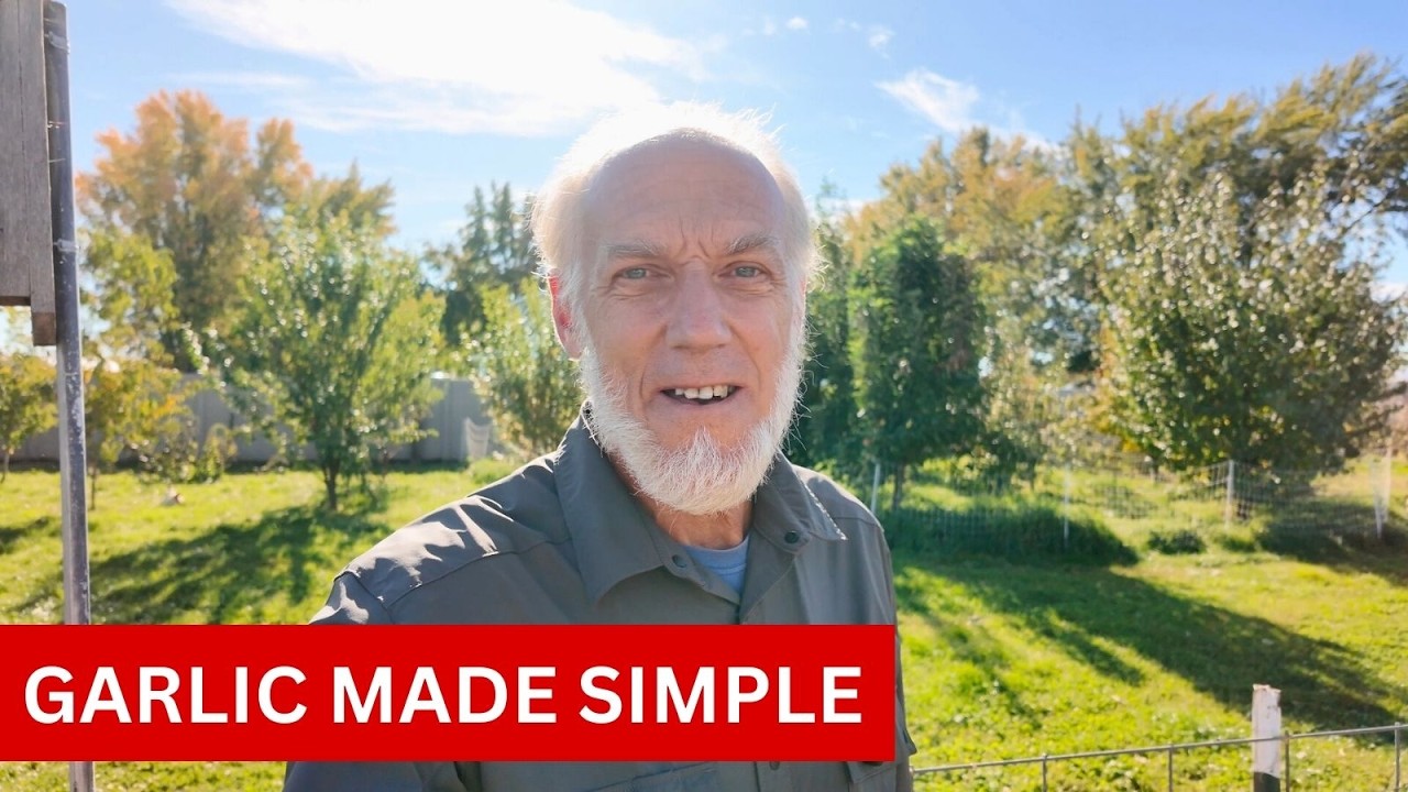 Garlic Growing Tips: Soak, Drill, Drop, Mulch