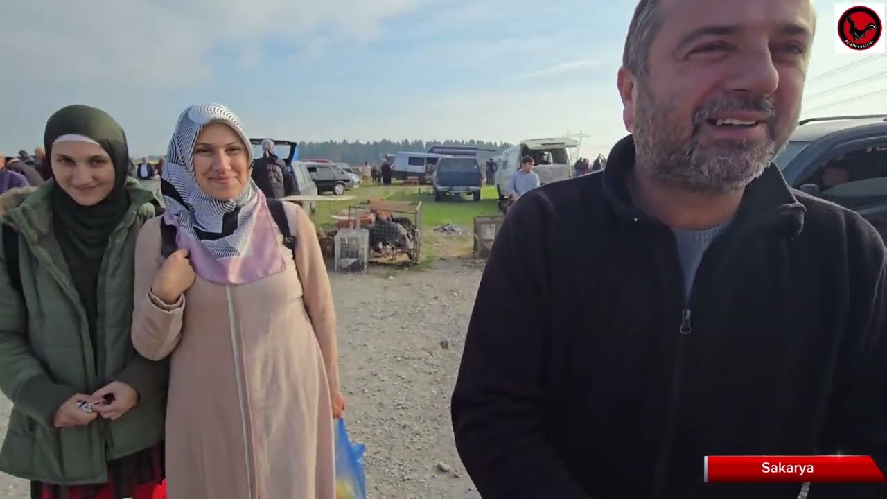 tavuk ve kuş pazarı Sakarya 10.11.2024