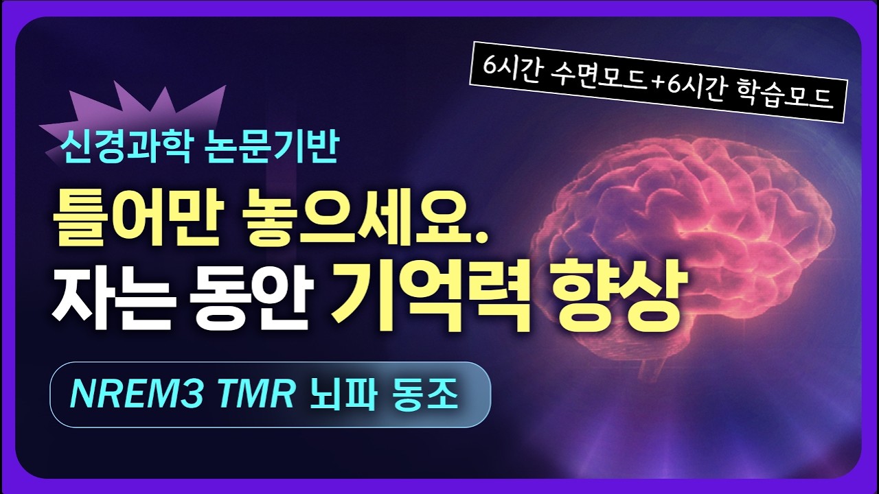 🧠 잠 자면서 기억력 향상되는 6시간 숙면 + 6시간 학습 사운드 | 수면 중 기억 강화 TMR 뇌파 동조 [최신 신경과학 및 임상논문 10편 기반]