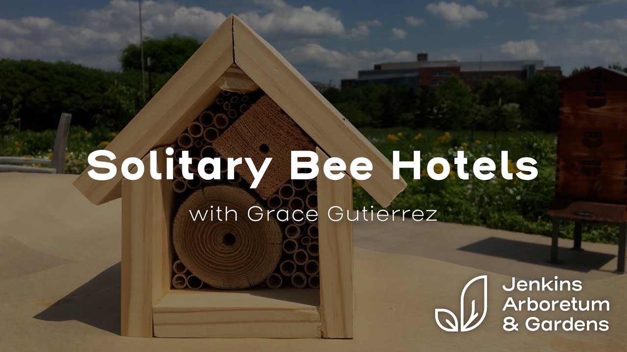 Solitary Bee Hotels with Grace Gutierrez
