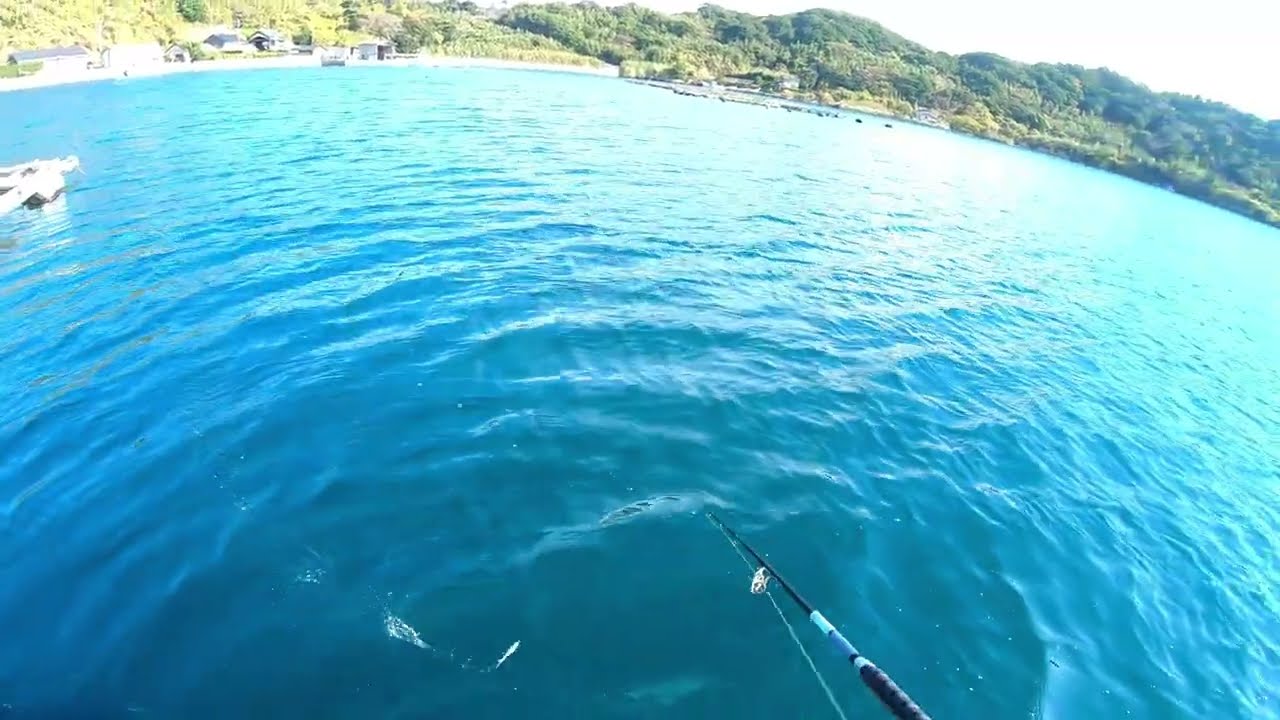 平戸（薄香湾）　エソ　ヤズ