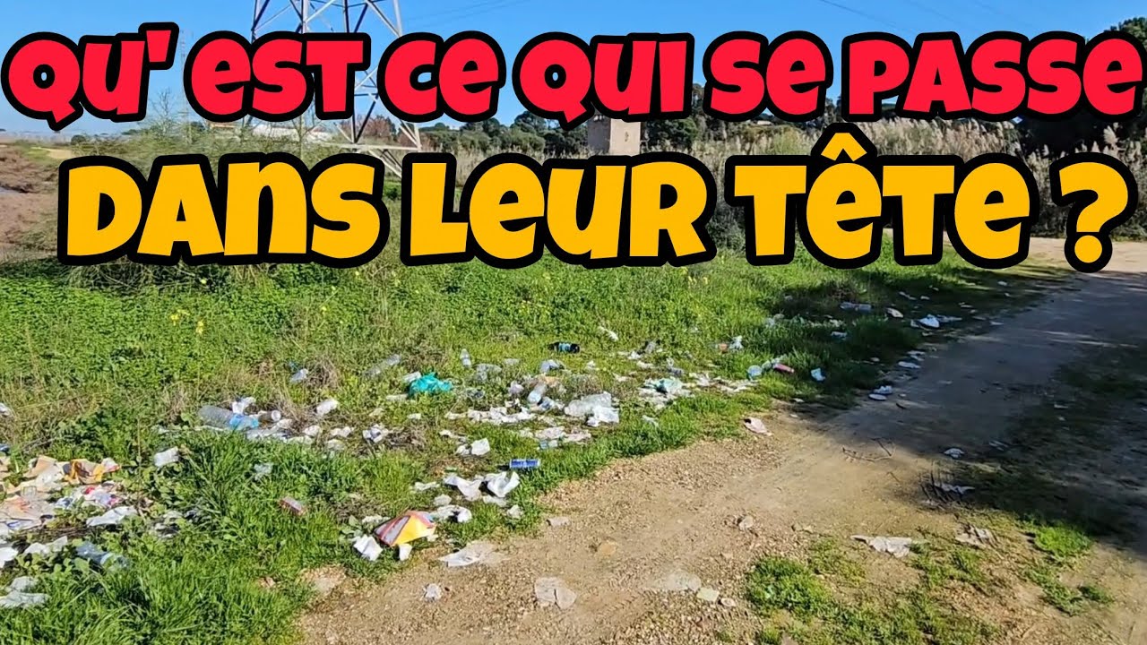 Spot de rêve 🤮