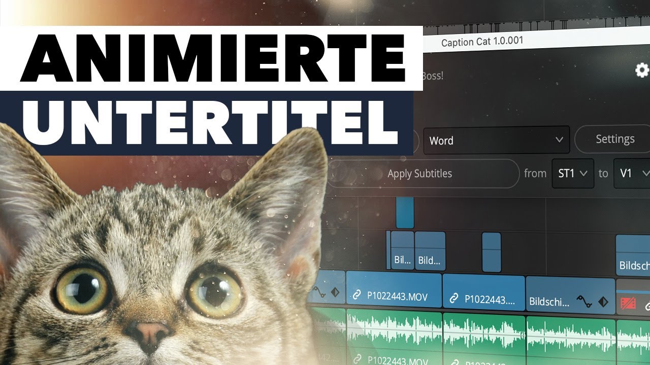 Dieses brandneue Plugin erstellt animierte Untertitel DIREKT in Davinci Resolve