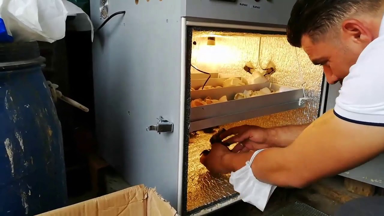 SİZ DEĞERLİ DOSTLARIMIZDAN GELENLER 6