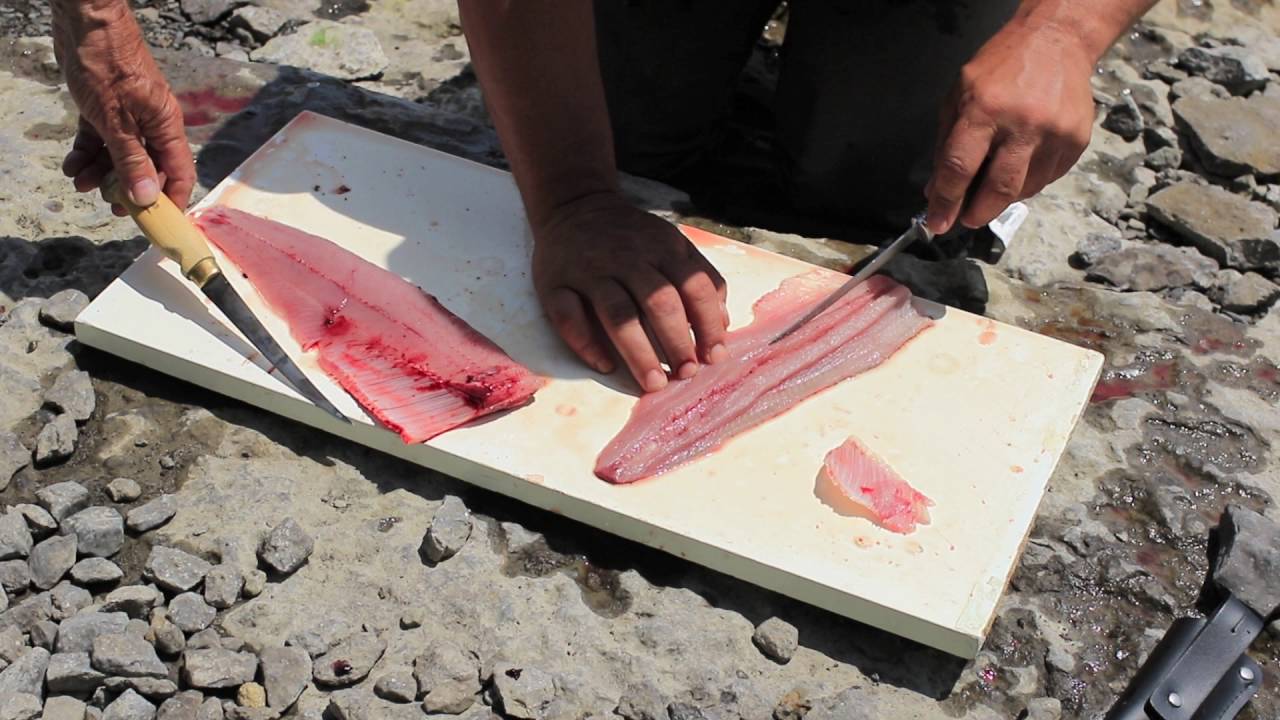 Filets d'alose, sans arête
