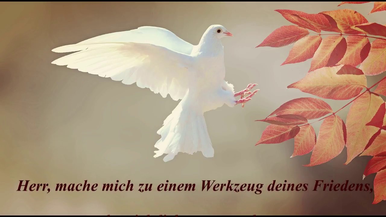 Friedensgebet - von Franz von Assisi