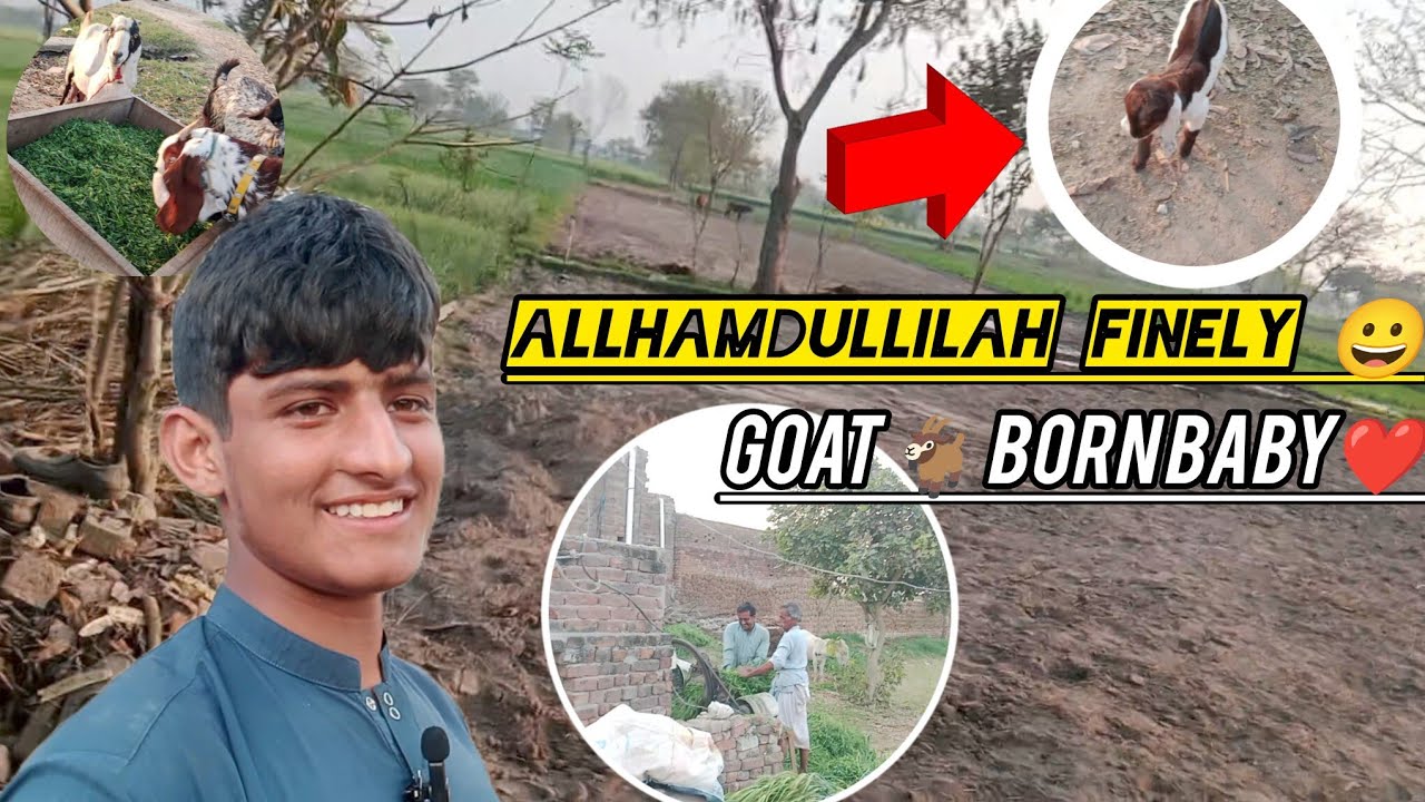 Alhamdulillah! Hamari Goat ne Baby De Diya | Emotional Vlog 🐐