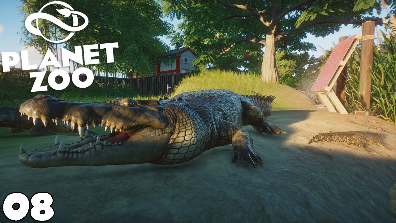 ENCLOS CROCODILE MARIN - PLANET ZOO - royleviking [FR HD PC]
