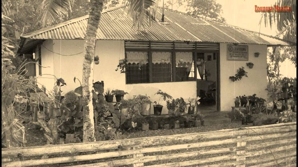 GANDONG E