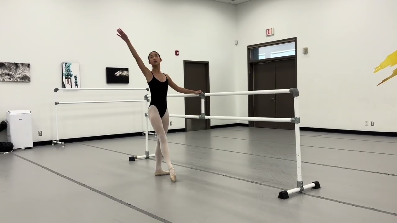 ABT Video Audition 2026