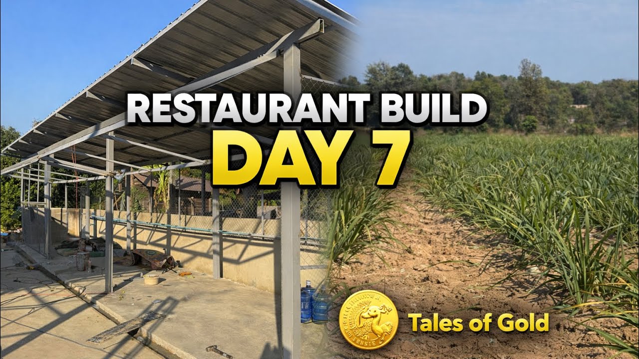 Restaurant Build Day 7 and Tales of Gold on our Land