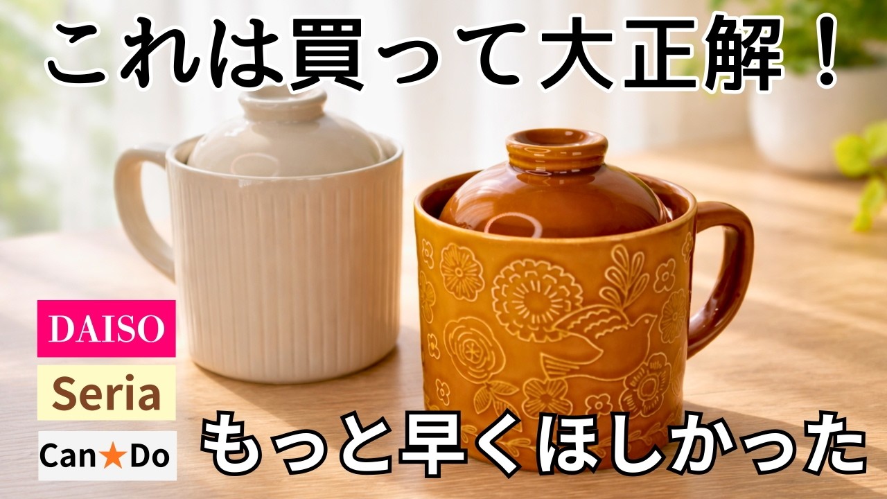 【100均】ダイソー/セリア/キャンドゥで買ってよかった便利グッズ|包丁研ぎ／クッキングマグなど