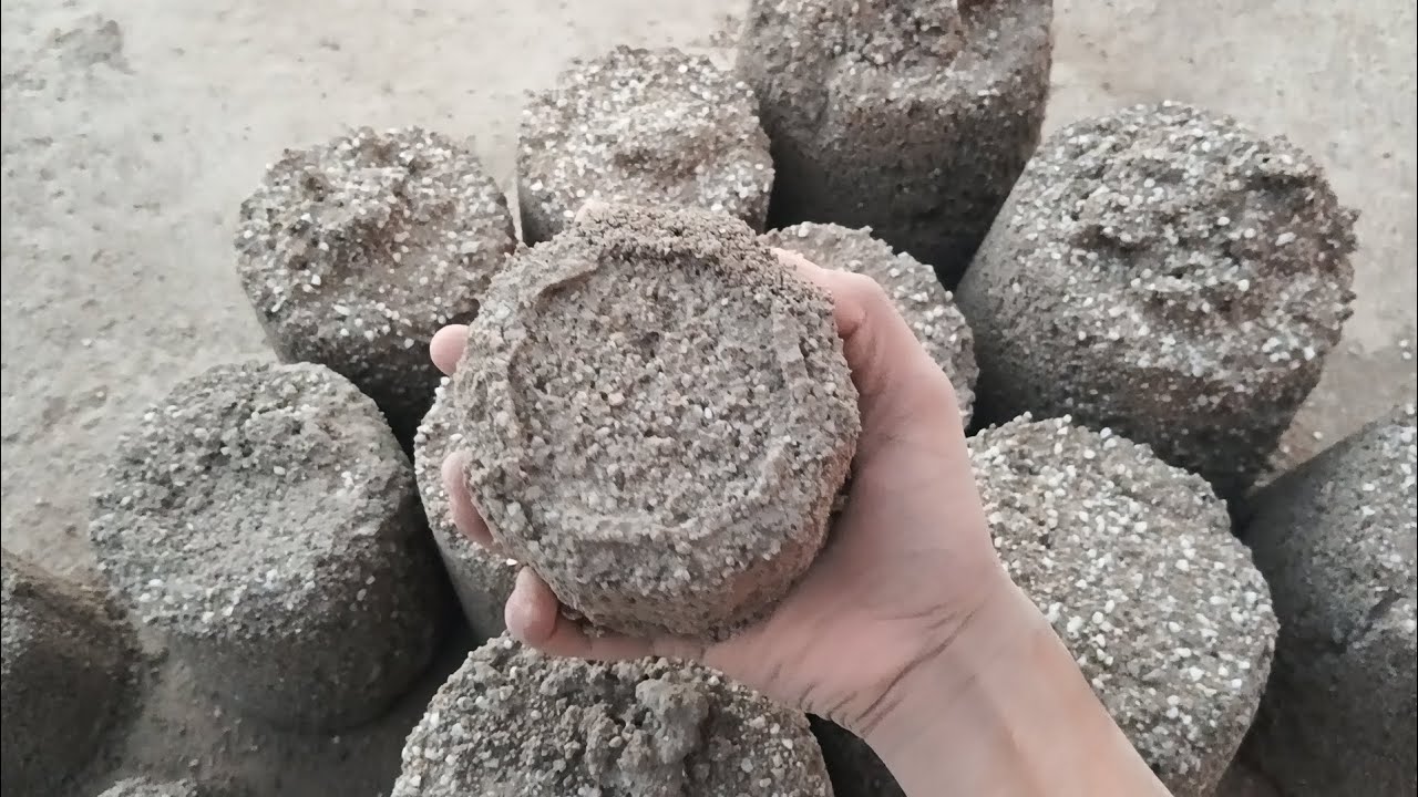 White 🤍 grainy ashes dhamakedarrr 💯🔥 crunchy texture full dry floor crumbling