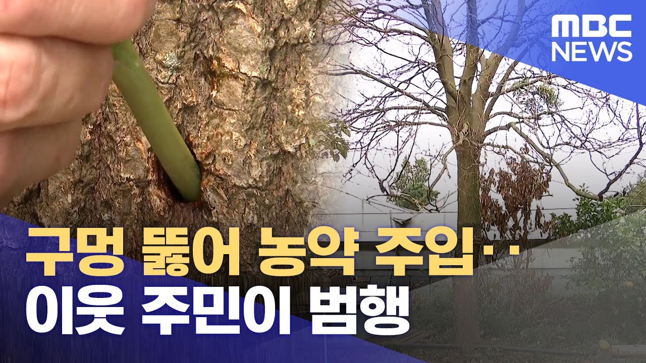 구멍 뚫어 농약 주입‥이웃 주민이 범행 (2025.06.27/뉴스데스크/제주MBC)