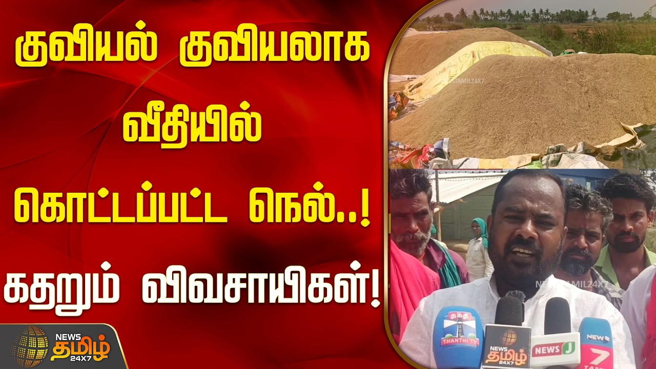குவியல் குவியலாக வீதியில் கொட்டப்பட்ட நெல்கள்..! கதறும் விவசாயிகள் | Thanjavur |