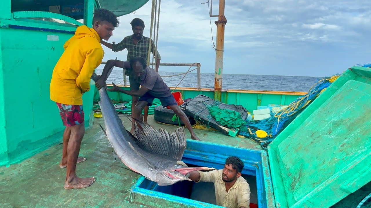 Wow❗Second & Third Day 💢 Full video 📸 🤩 INDIAN FISHING ADVENTURES 