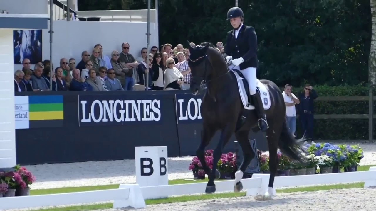 REPRISE DE DRESSAGE | Reprise 5 ans : Commentées par Isabelle Judet – Juge 5* Internationale