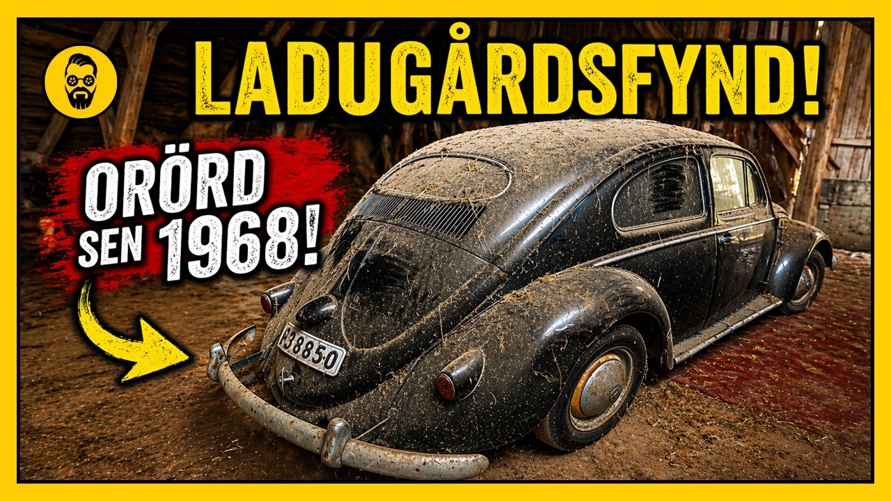 VW 