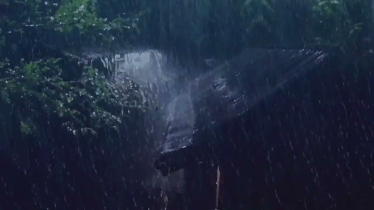 The Secret to Sleep Well with Torrential Rain & Thunder Growled on a Rickety Tin Roof in the Farm