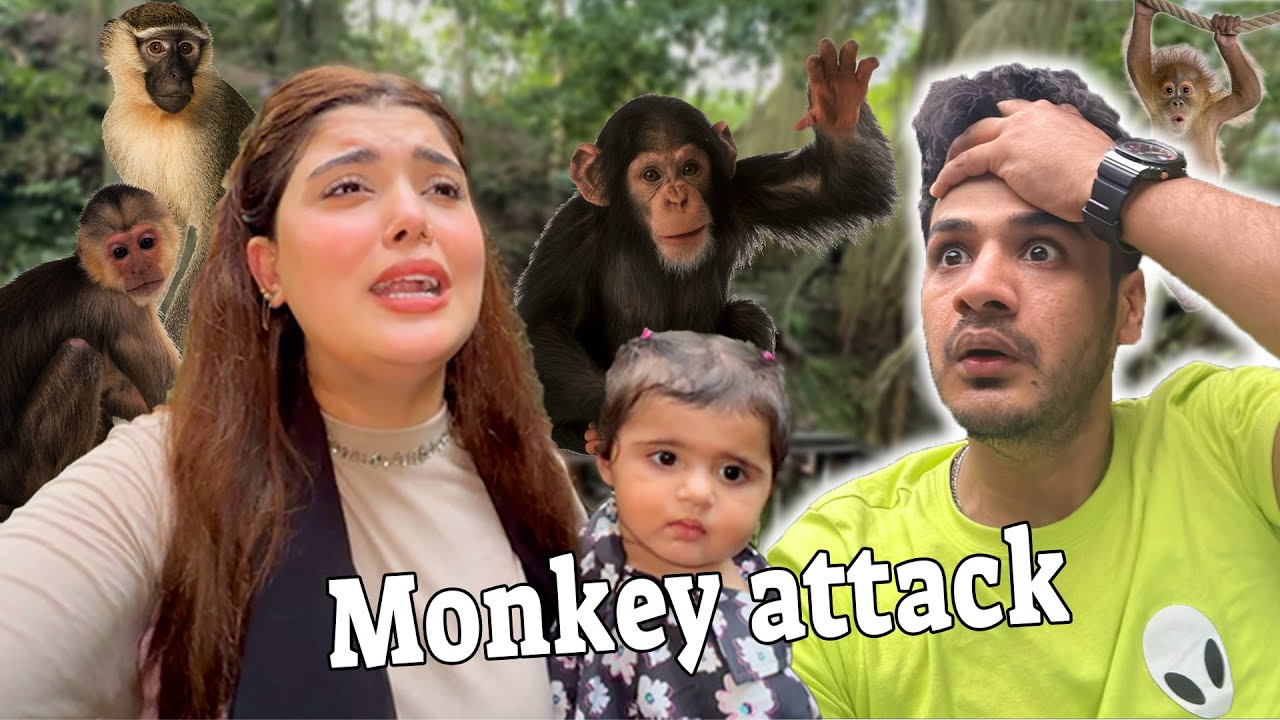 First Time Jungle Main Gaye || Monkey Nay Attack Kar Diya Mery Py