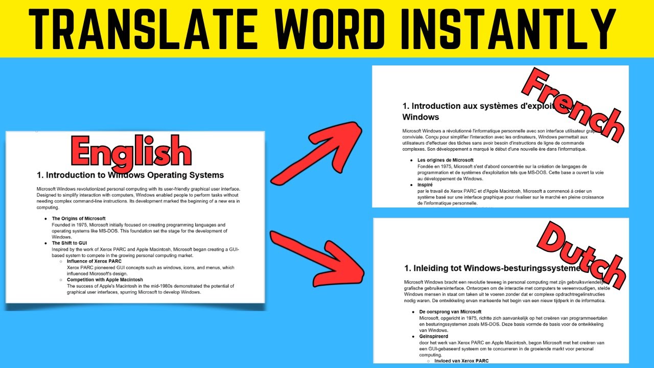 How to Translate Word Document into another language