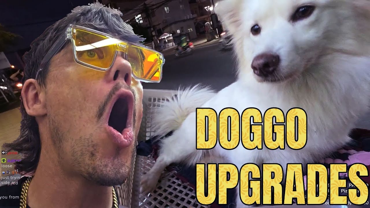 I Tried Building the Ultimate Motorbike Ride for My Dog and It Got Weird