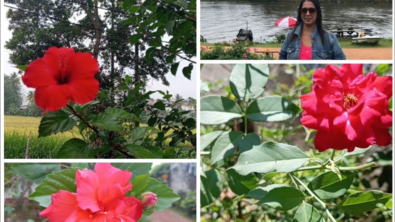 ස්වභාධහමේ අපූරත්වය 🌹🌹♥️♥️