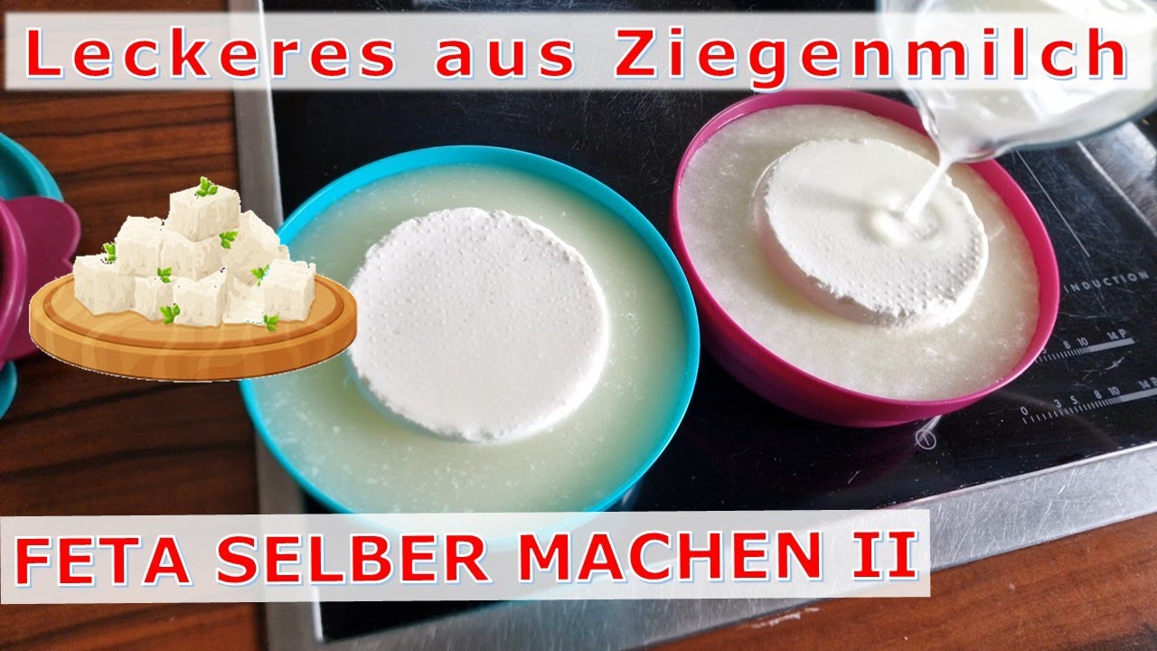 Ziegenmilch verarbeiten: Feta selber machen - Teil 2