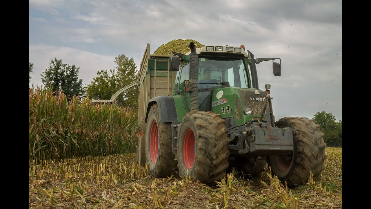GAVAZZONI SRL l GoPro Corn Silage: CLAAS Jaguar 970 + FENDT 820vario, JOHN DEERE 6210R & LANDINI