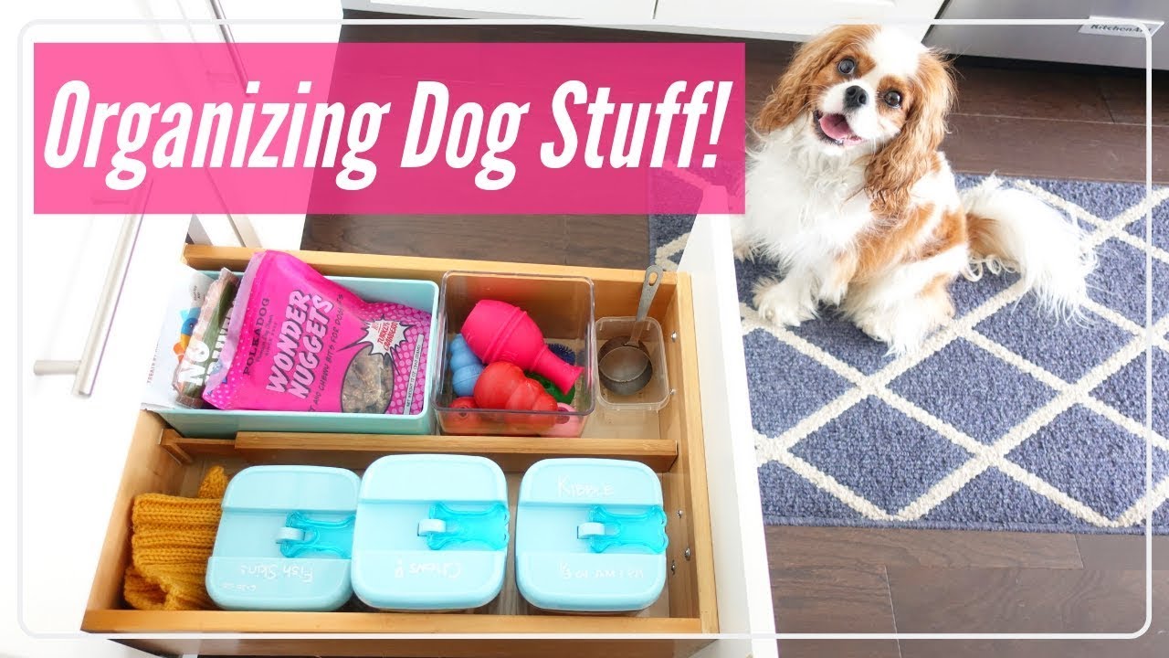 🐶How I Organize My Dog's Stuff | Organizing Inspiration 🎾