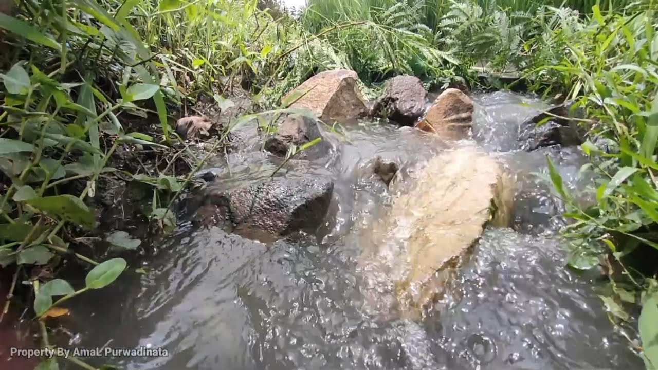 Suara air yang mengalir di sungai sawah sangat menenangkan dan menemani tidur nyenyak Anda