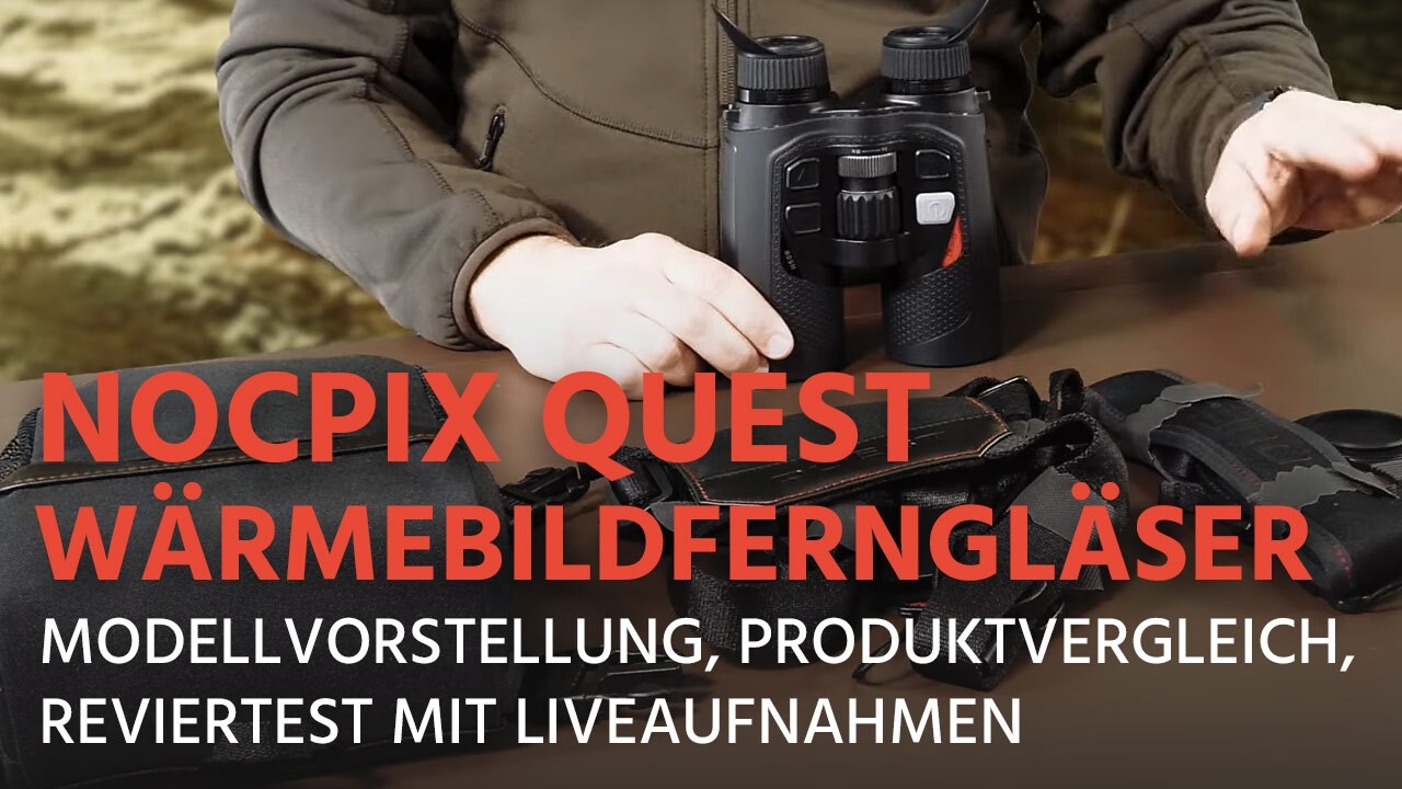 Nocpix Quest Wärmebildferngläser - Modellvorstellung, Produktvergleich, Reviertest mit Liveaufnahmen