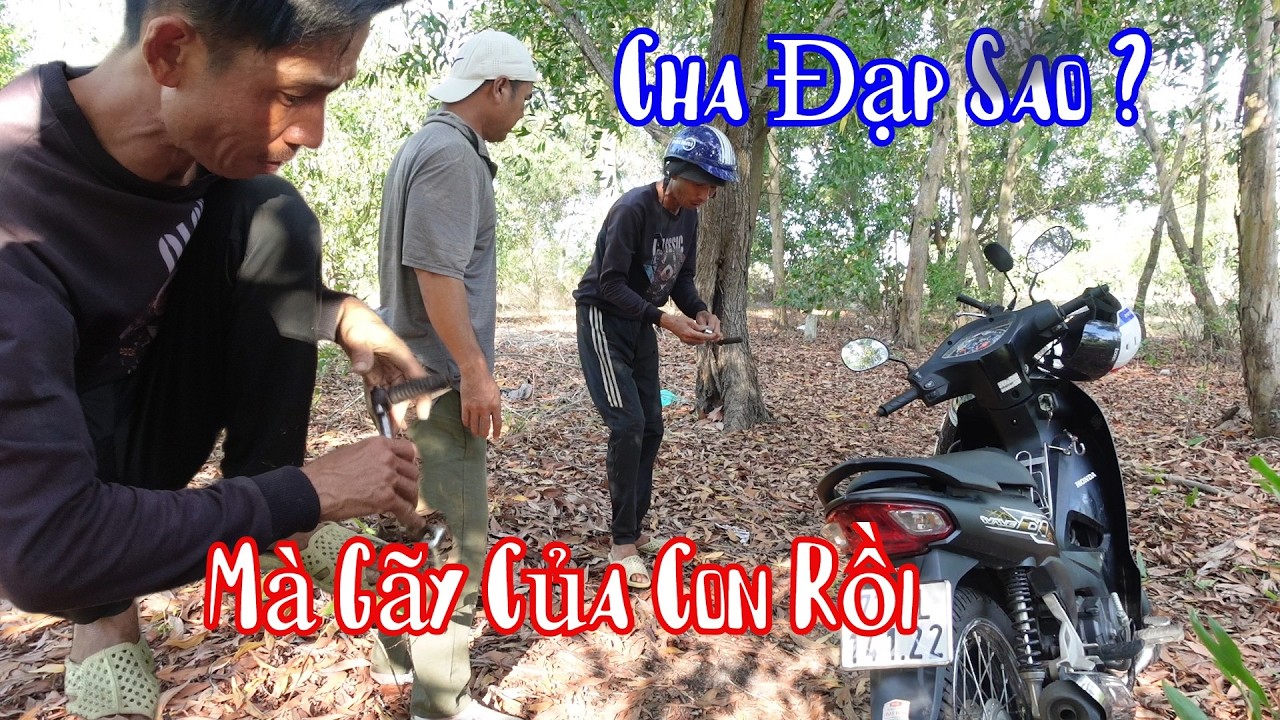 Đầu Năm Đầu Tháng 10 Râu Chọc Ngay Mỏ Hổn Bà 8 Phong