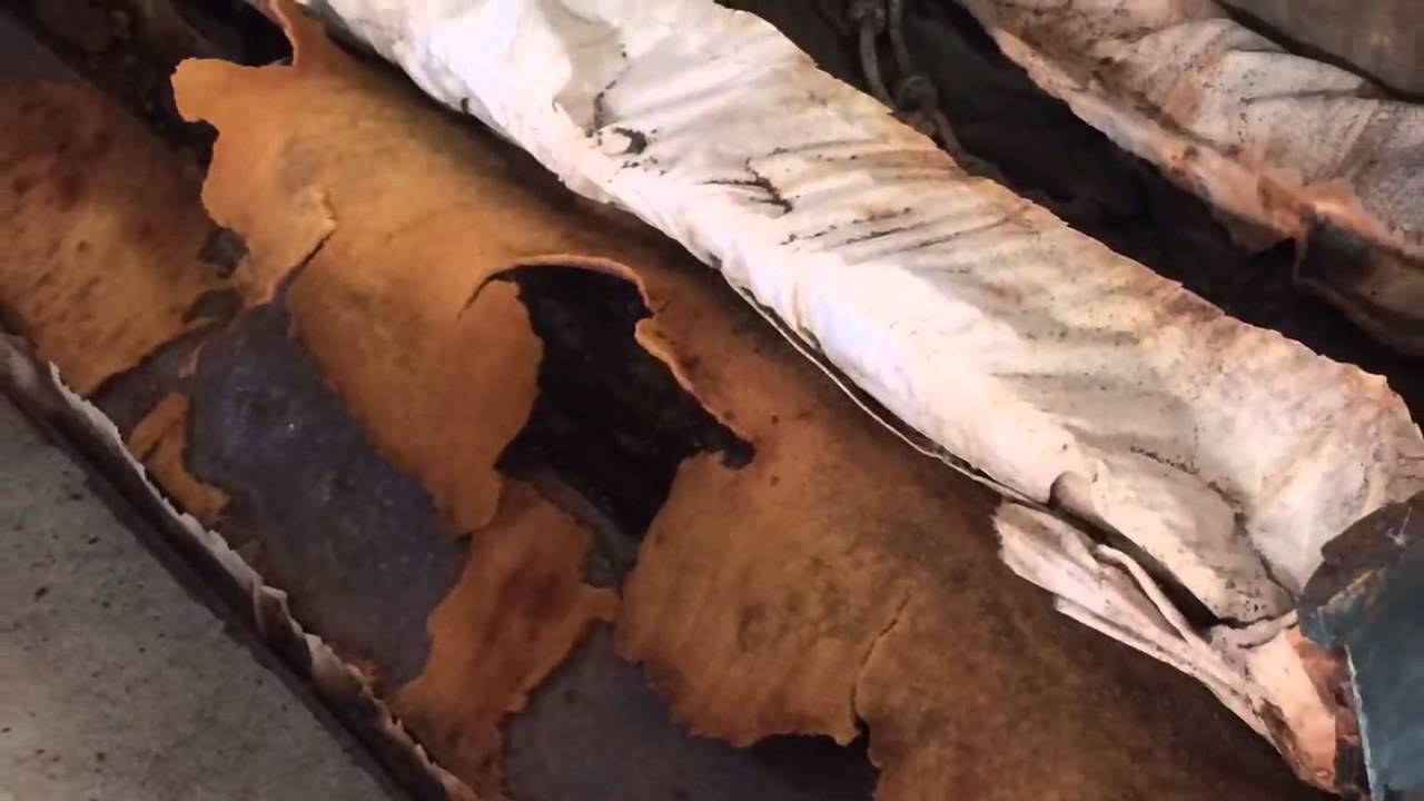 Exhumación de los restos de los mártires Miguel y Zbigniew en Pariacoto