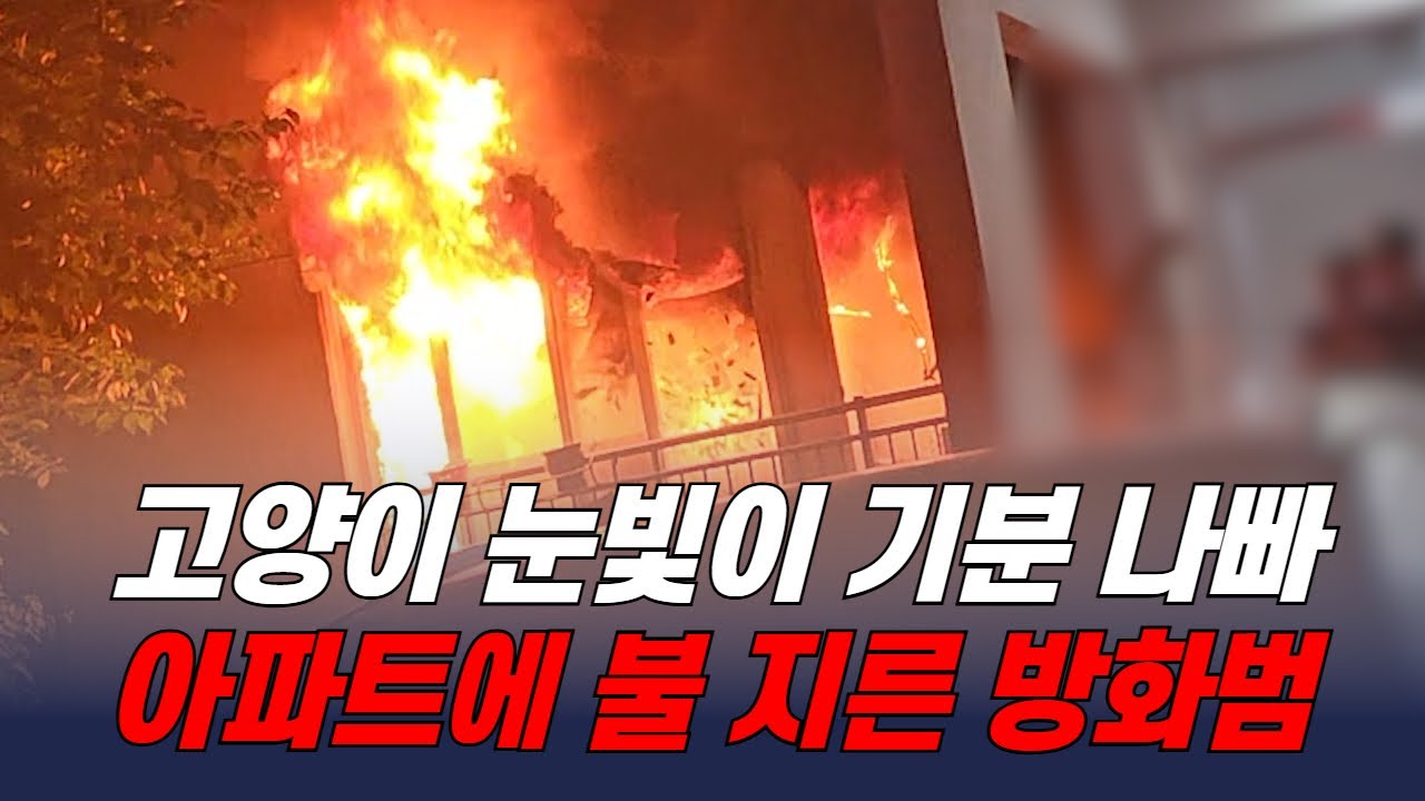 술에 취해 돌을 던지고 방화까지?