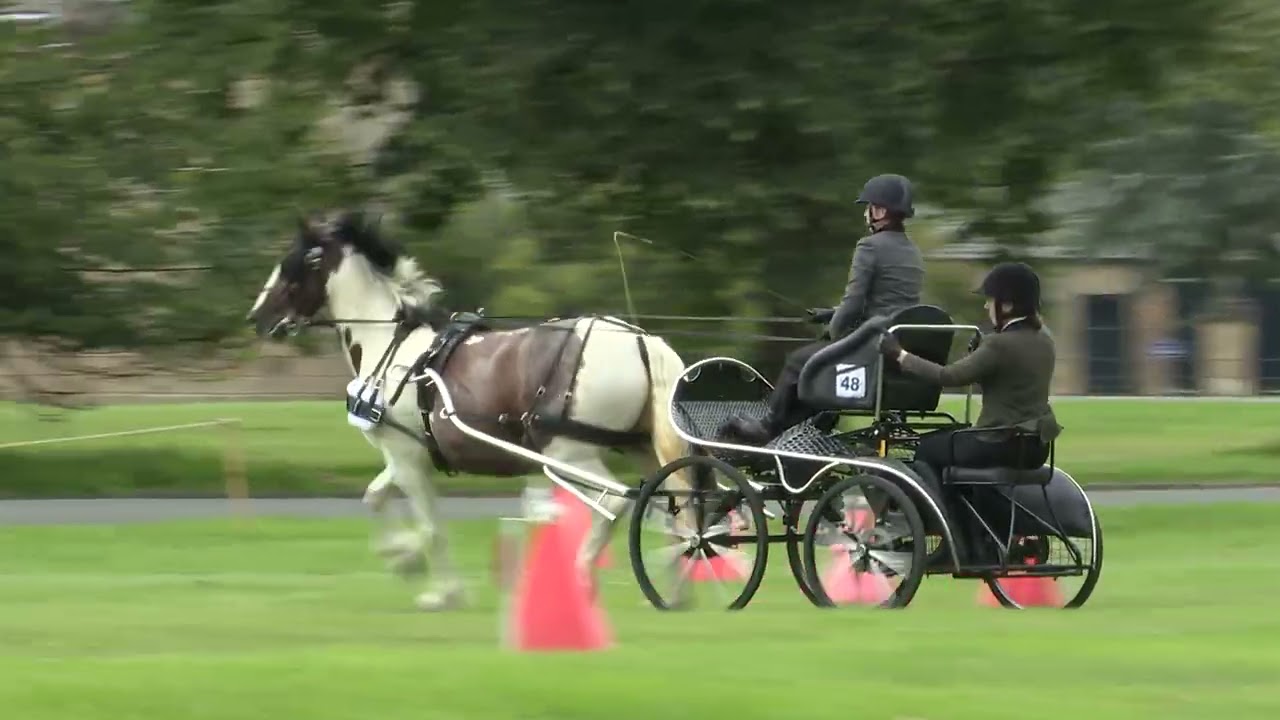 Carriage Driving - Where Tradition Meets Sport - British Carriagedriving