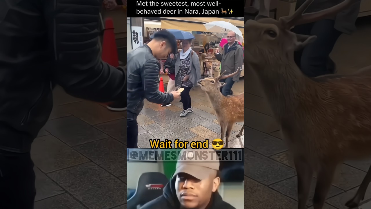INSTAGRAM REELS CRINGE TROLL | TRENDING REELS ATROCITIES | FUNNY MEMES | COMEDY FOREVER